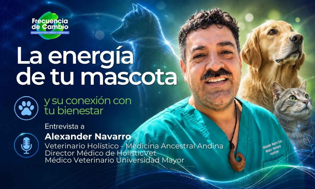 La energía de tu mascota y su conexión con tu bienestar